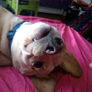 Meet your Posher, Kaley